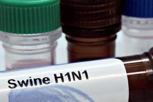 В Єгипті за тиждень 800 осіб захворіли на свинячий грип