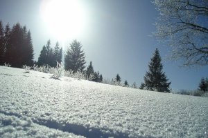 В Україну йдуть хрещенські морози