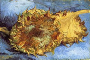 Ученые выяснили причину потери красок полотнами Ван Гога