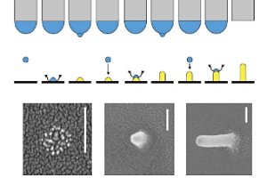 Інженери створили принтер, що друкує тривимірні структури