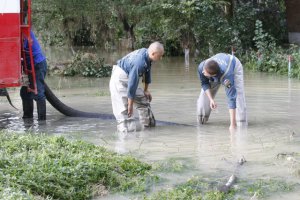 Спуск воды из водохранилища технологически никак не мог быть причиной наводнения на Кубани, - Росгидромет