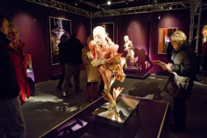 До Києва привезуть скандальну виставку людських органів The Human Body Exhibition (ВІДЕО)