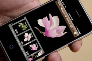 У всіх версіях прошивки для iPhone виявленао ​​уразливість