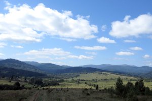 Анонсирована новая версия iTunes