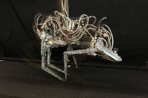 Ученые создали робота-бегуна быстрее самого быстрого человека планеты (ВИДЕО)