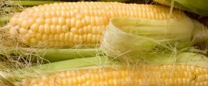 Китай дасть Україні 3-мільярдний кредит в обмін на кукурудзу