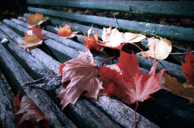 В Украине похолодает еще сильнее