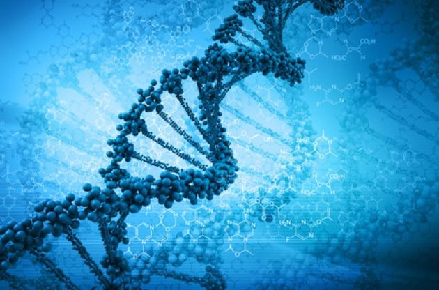 Ученые впервые получили реальное изображение ДНК (ФОТО)