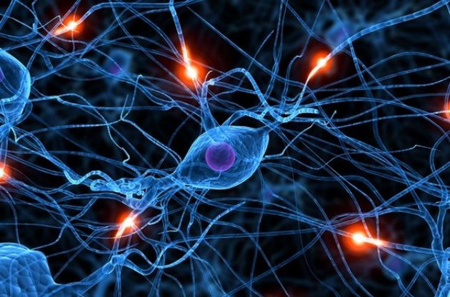 Ученые нашли общие черты в развитии Вселенной, Интернета и головного мозга