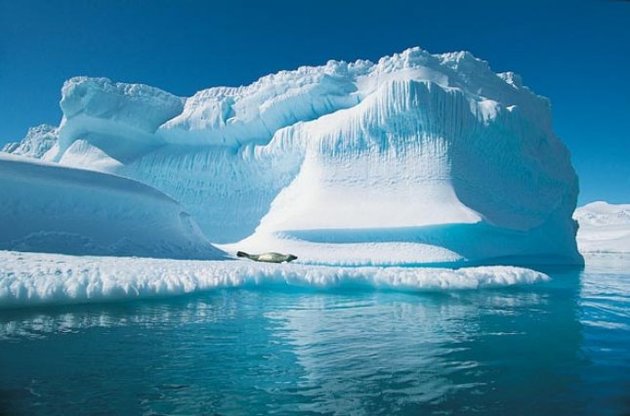 Арктика потеряла рекордное количество снега и льда за последний год