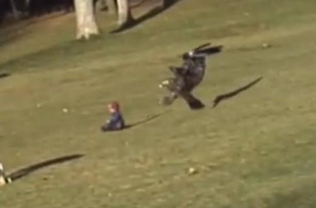 Житель Монреаля снял на ВИДЕО гигантского орла, попытавшегося унести гулявшего в парке младенца
