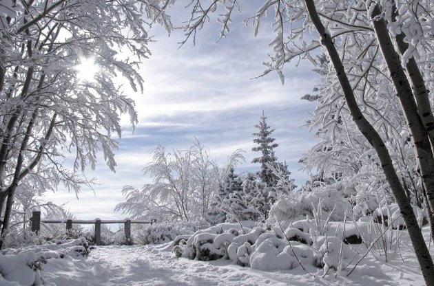 До конца недели Украину будет засыпать снегом
