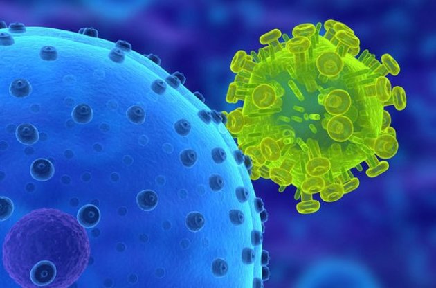 Іспанські вчені навчилися блокувати проникнення ВІЛ в імунну систему