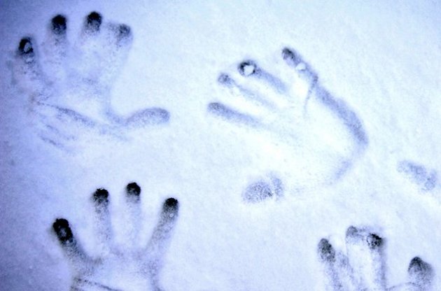 Снега на Новый 2013-й год не будет