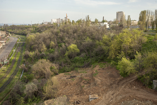 Так выглядели 3 га, переданные Так выглядели 3 га, переданные