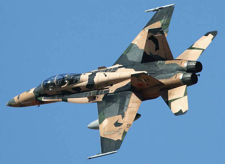 Винищувачі для України - що собою становлять австралійські F/A-18