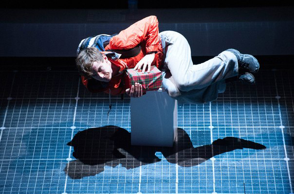 «Загадочное ночное убийство собаки»