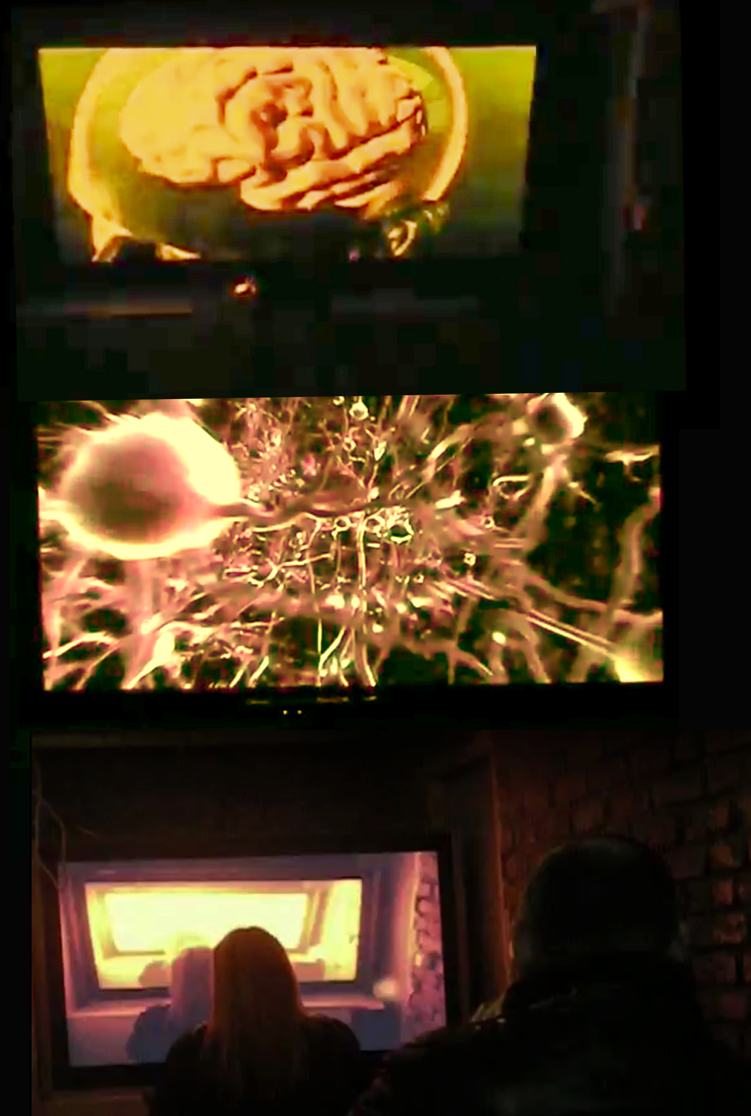 Медиа-инсталляция Владимира Боднара
«Мозг без ума» Медиа-инсталляция Владимира Боднара
«Мозг без ума»