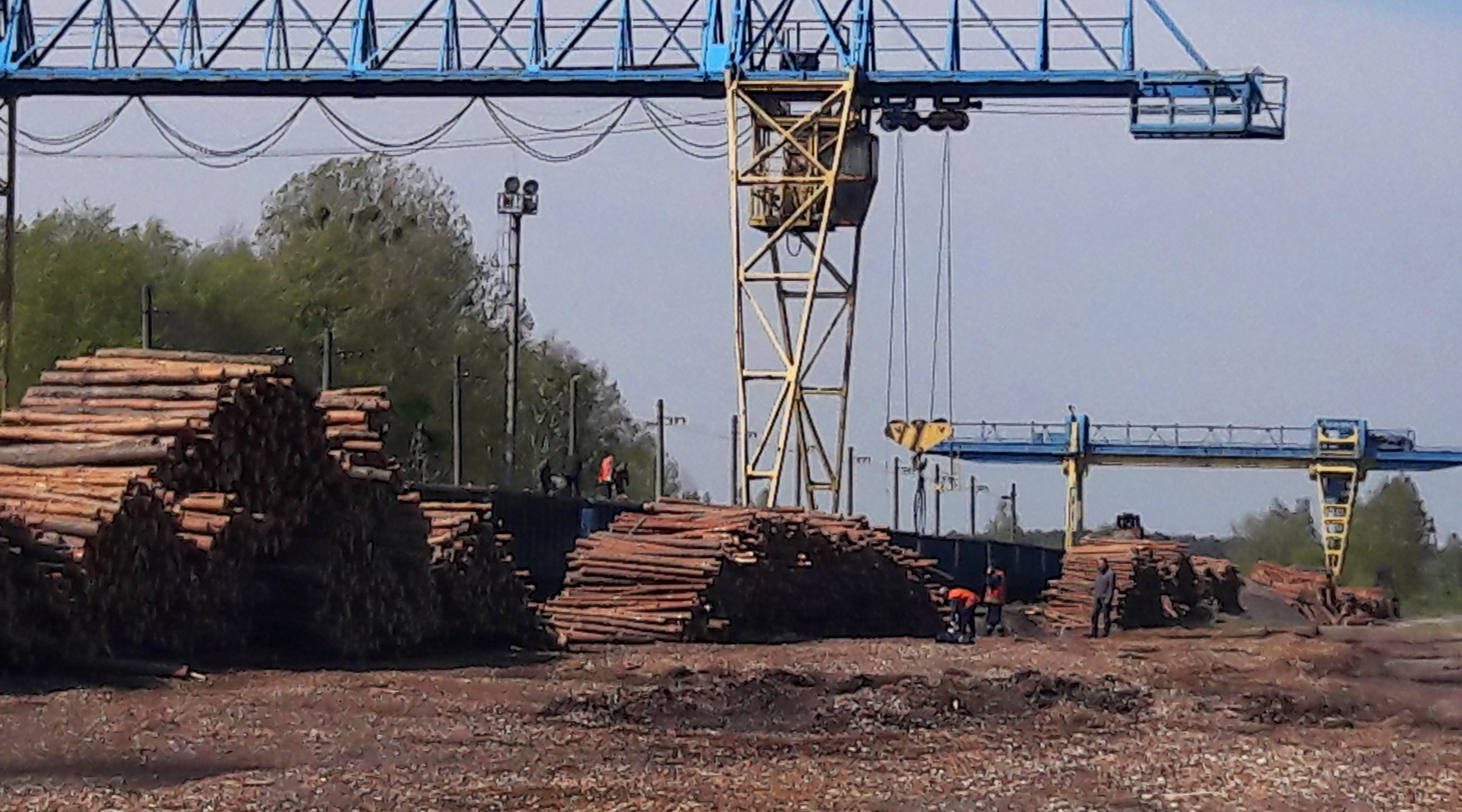 Так грузят украинские «дрова» на узкую европейскую колею
(ст. Ягодин, украино-польская граница) Так грузят украинские «дрова» на узкую европейскую колею
(ст. Ягодин, украино-польская граница)