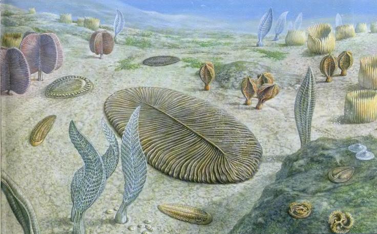 Ученые раскрыли тайну появления первых животных Земли - ZN.ua