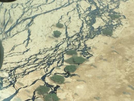 В Израиле разлились миллионы литров нефти В Израиле разлились миллионы литров нефти