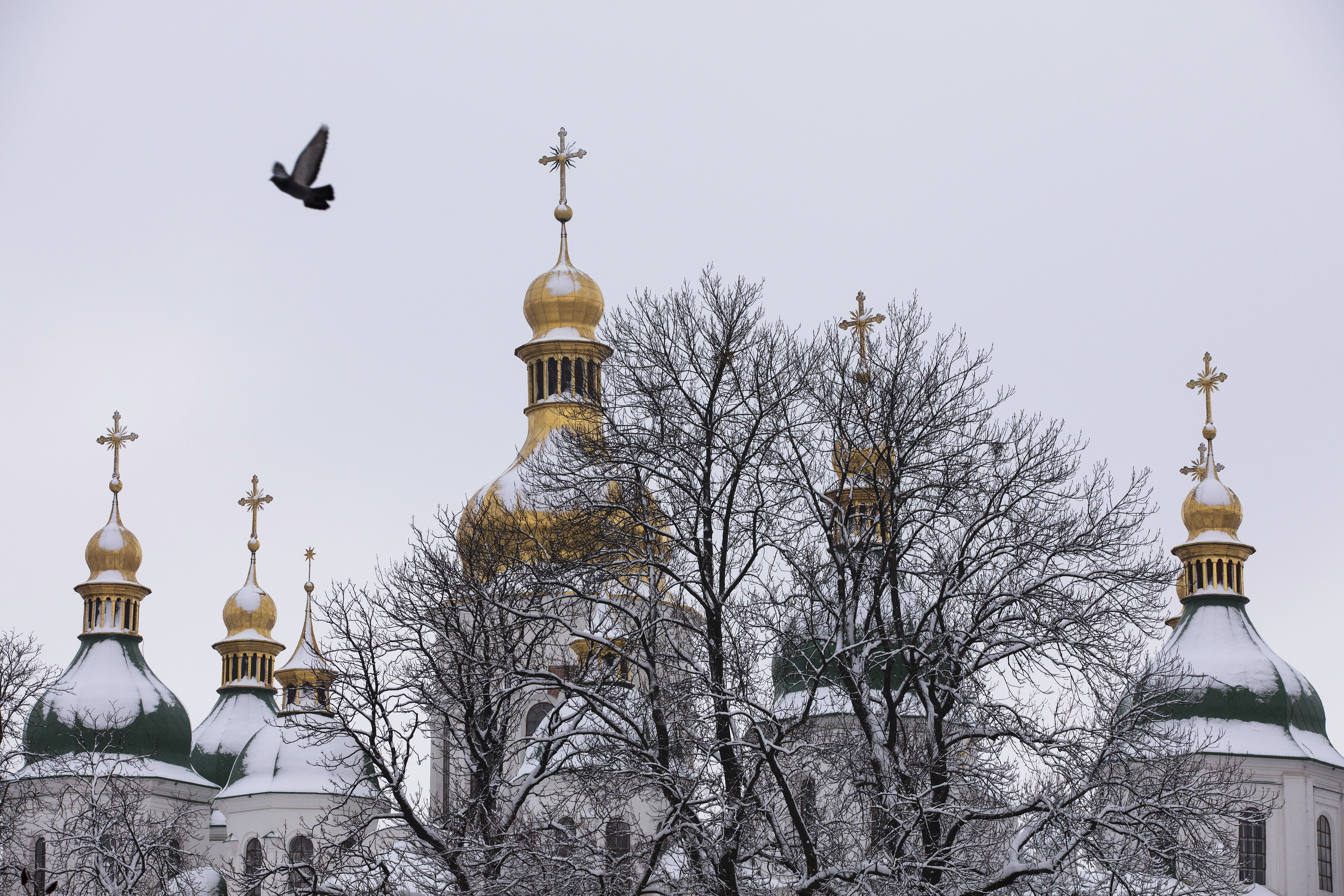 Один в поле воин — один в небе Бог - ZN.ua