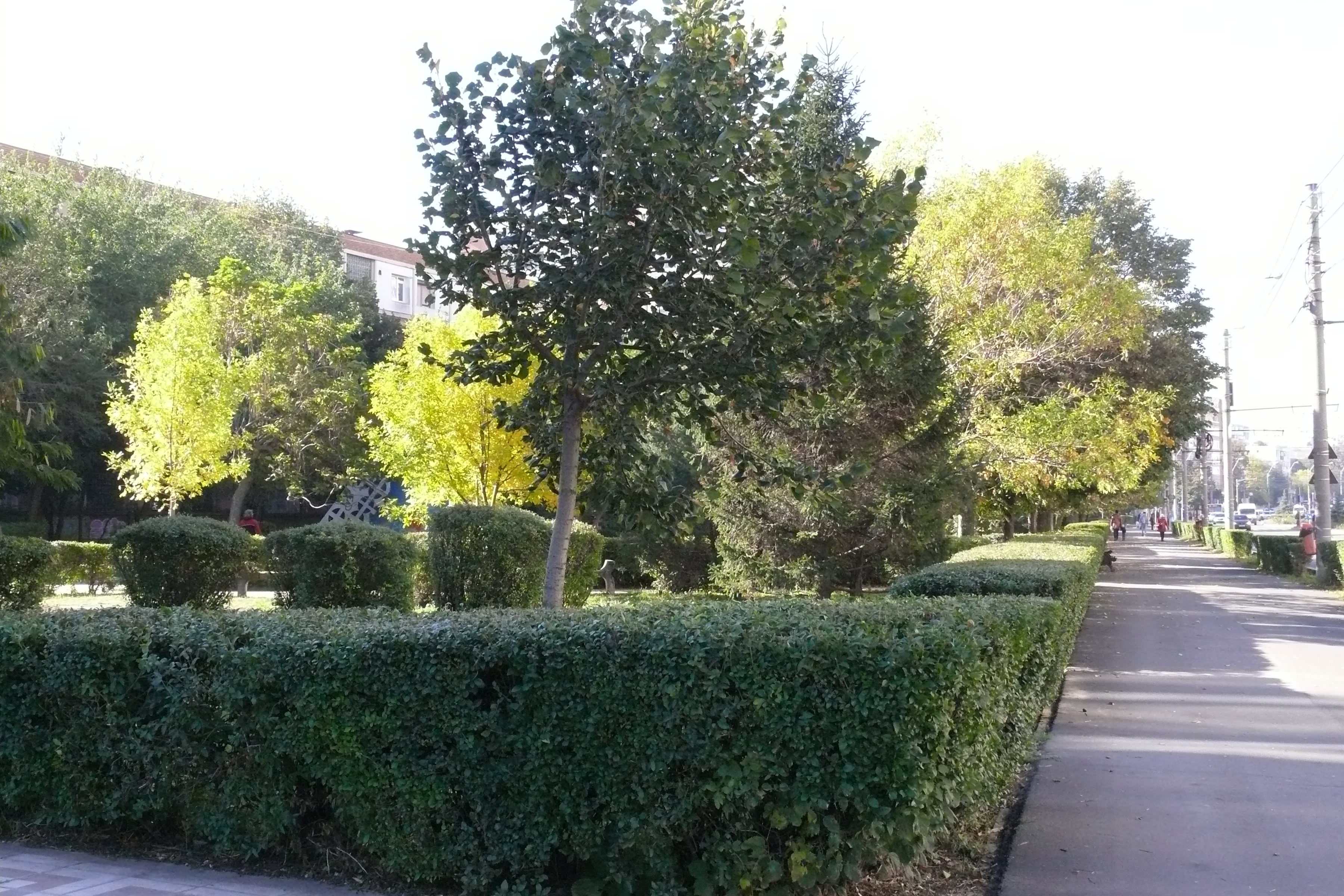 Парк Мазепи в Галаці. Парк Мазепи в Галаці.