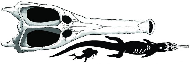 Paleontologi Viyavili Reshtki Gigantskogo Doistorichnogo Chudoviska