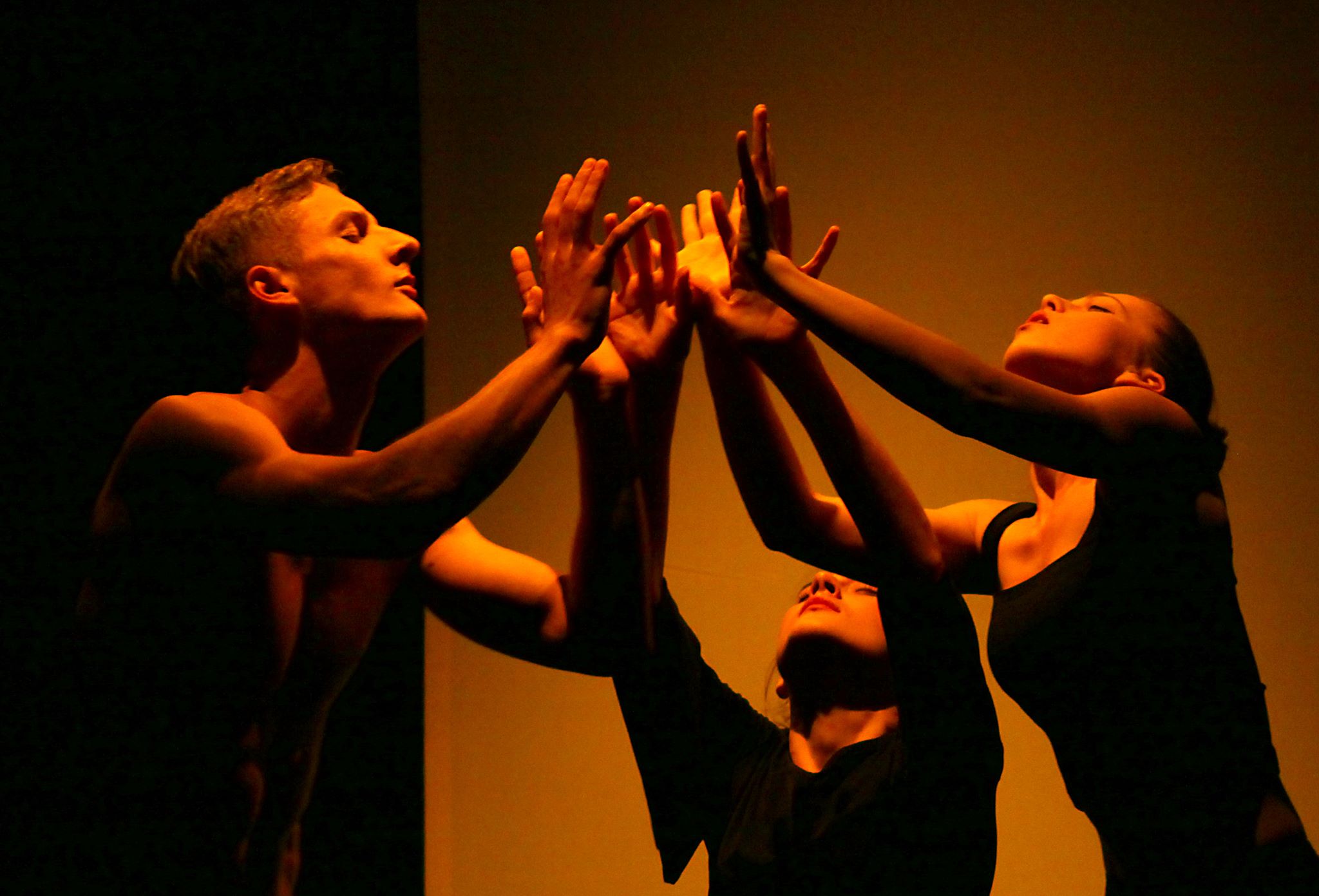 «Розпуста Змії» (Київський Молодий театр)