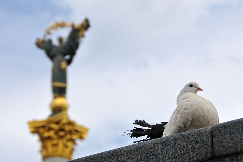 Воздух в Киеве очистится в субботу