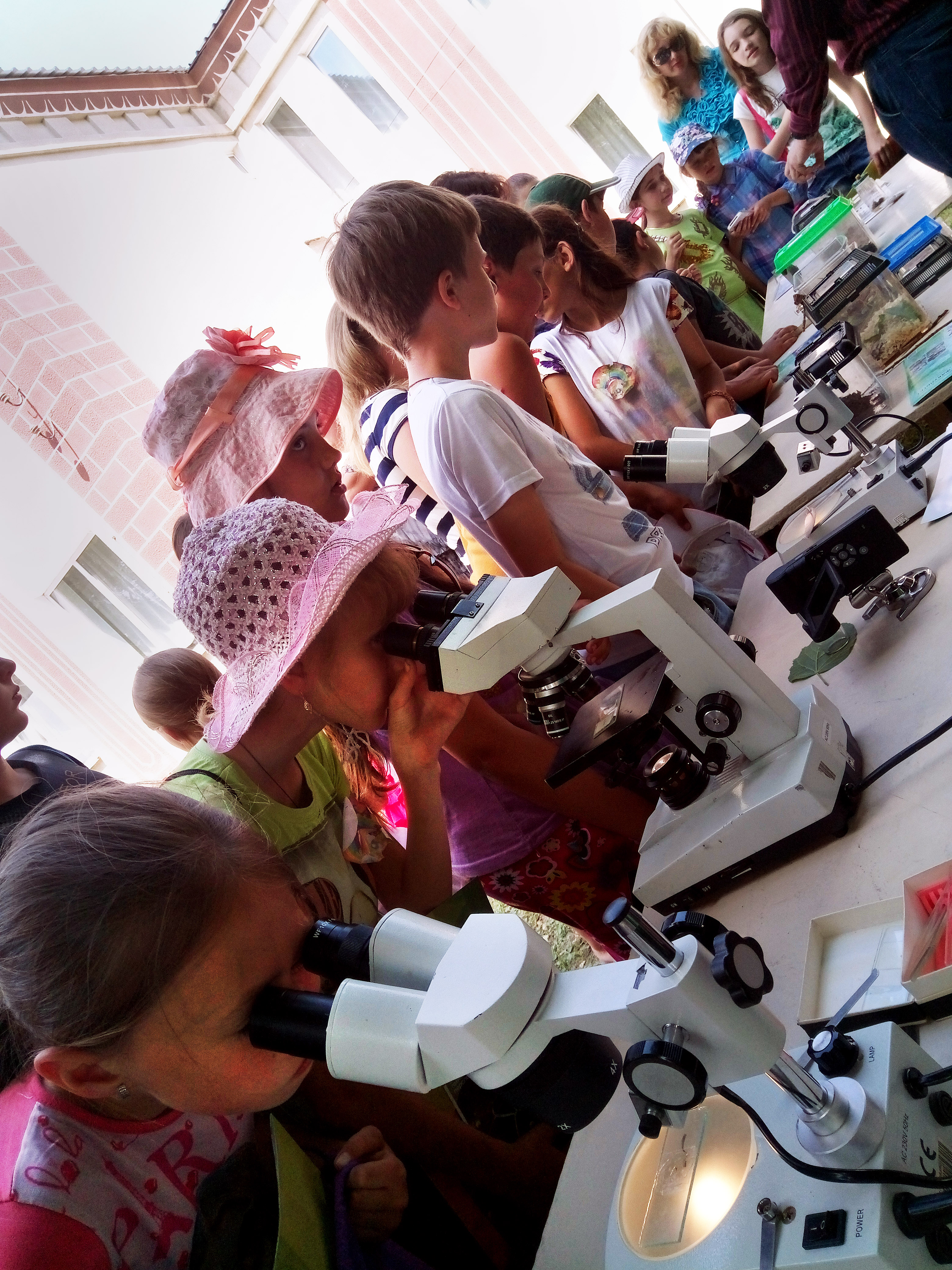 Біологія на пришкільному майданчику. Сватове, Луганщина Біологія на пришкільному майданчику. Сватове, Луганщина