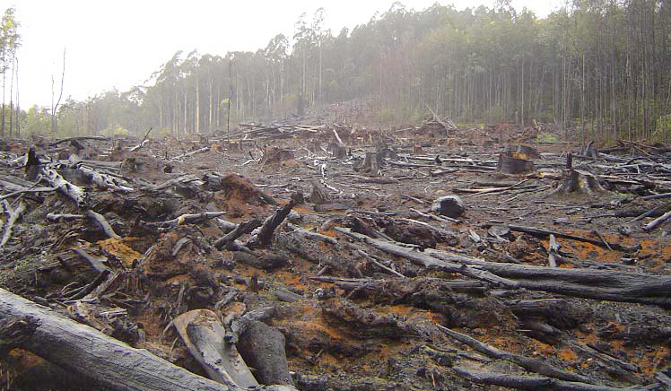 crustmania (Flickr.com)