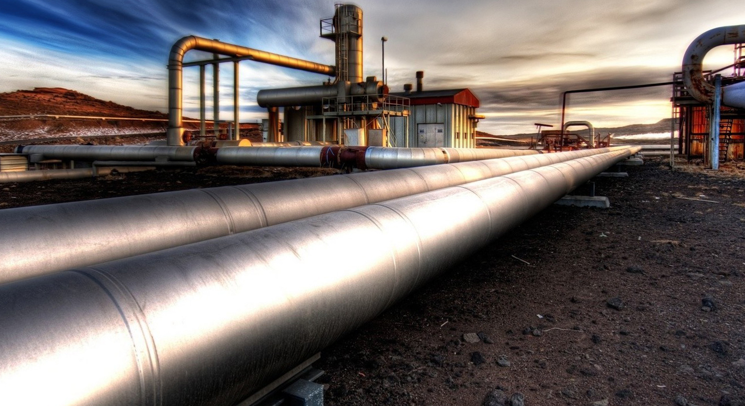 wexlerglobal.com wexlerglobal.com