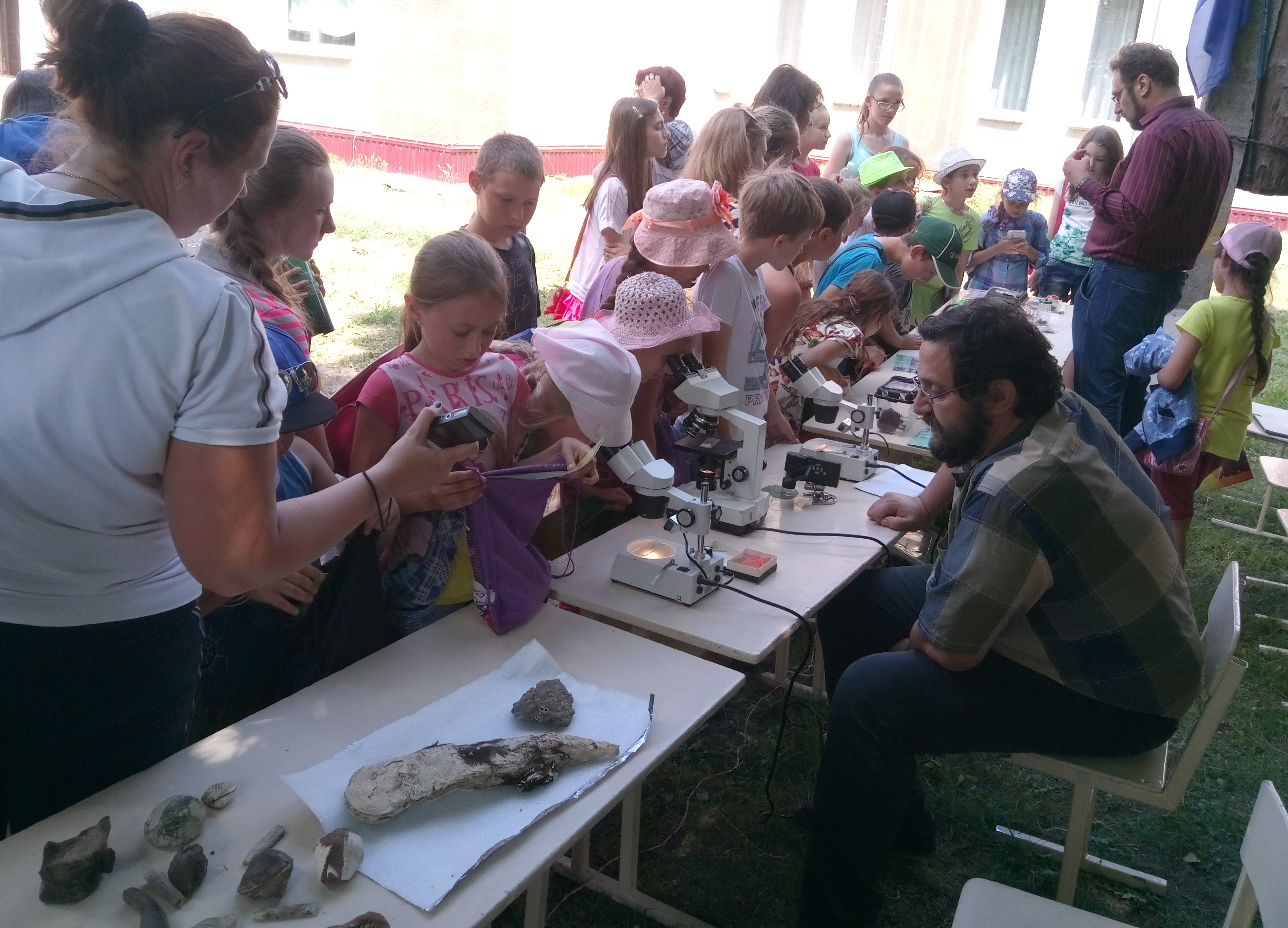 Майданна біологія в м. Сватове Луганської області