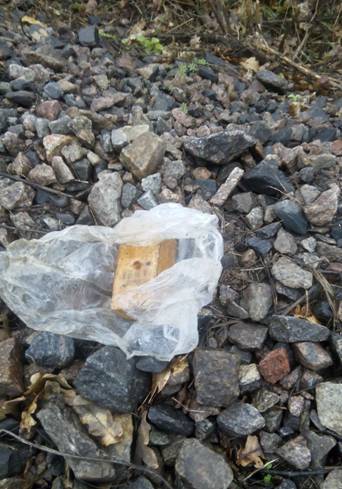 Тротиловая шашка Тротиловая шашка