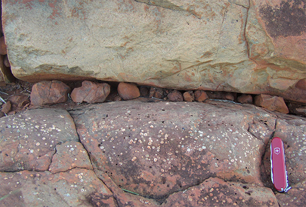 Досліджені породи