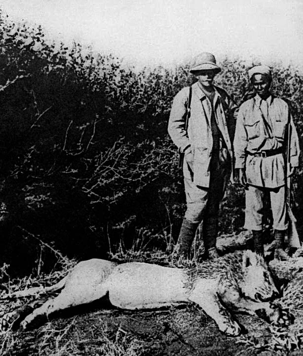 Владислав Городецкий во время охоты в Африке