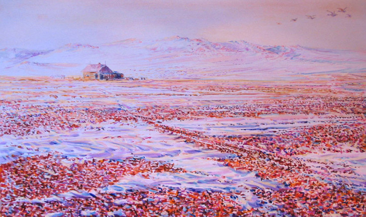 Картины автора из серии «Моя Арктика, Антарктика…» Картины автора из серии «Моя Арктика, Антарктика…»