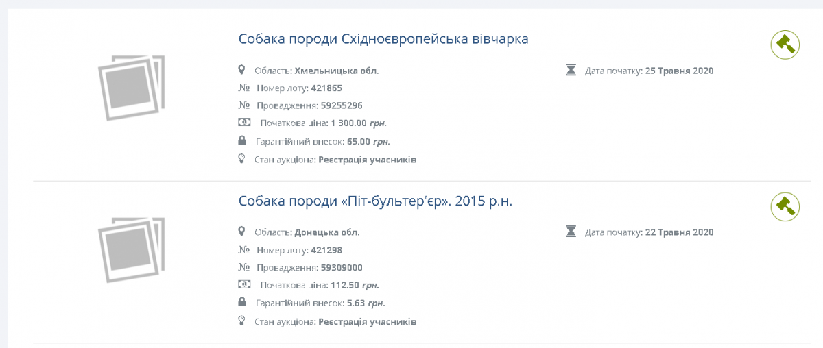 Минюст продает собак за долги Минюст продает собак за долги