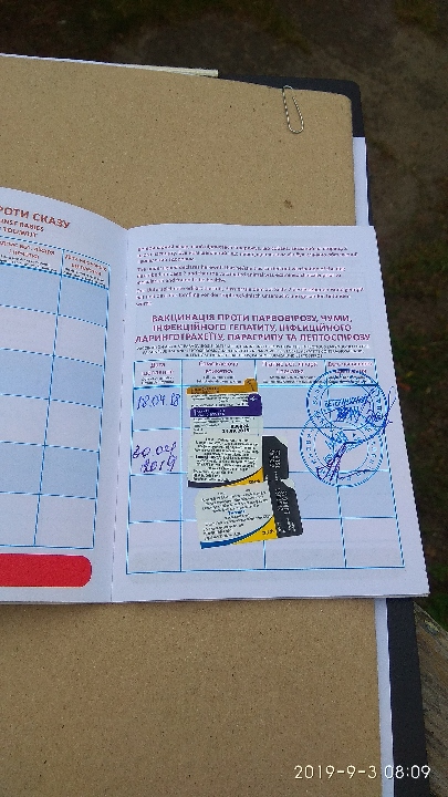 Минюст продает собак за долги Минюст продает собак за долги