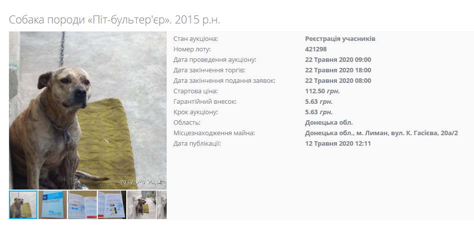 Минюст продает собак за долги Минюст продает собак за долги