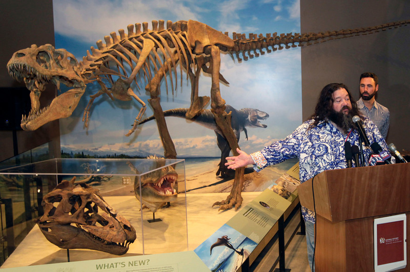 Ученые в американском штате Юта открыли новый вид динозавров, который является предком тираннозавра Tyrannosaurus Rex