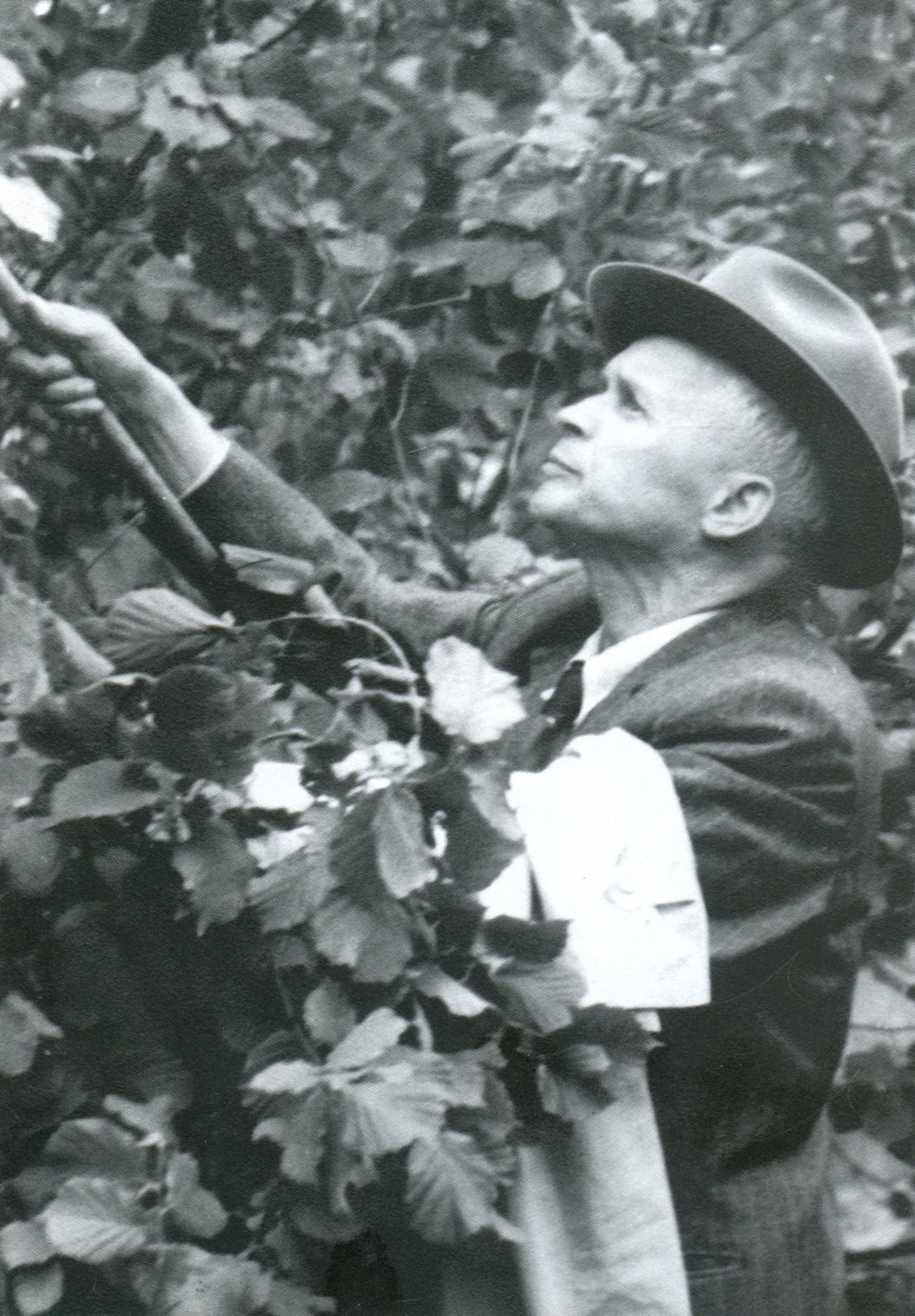 Александр Довженко на съемках