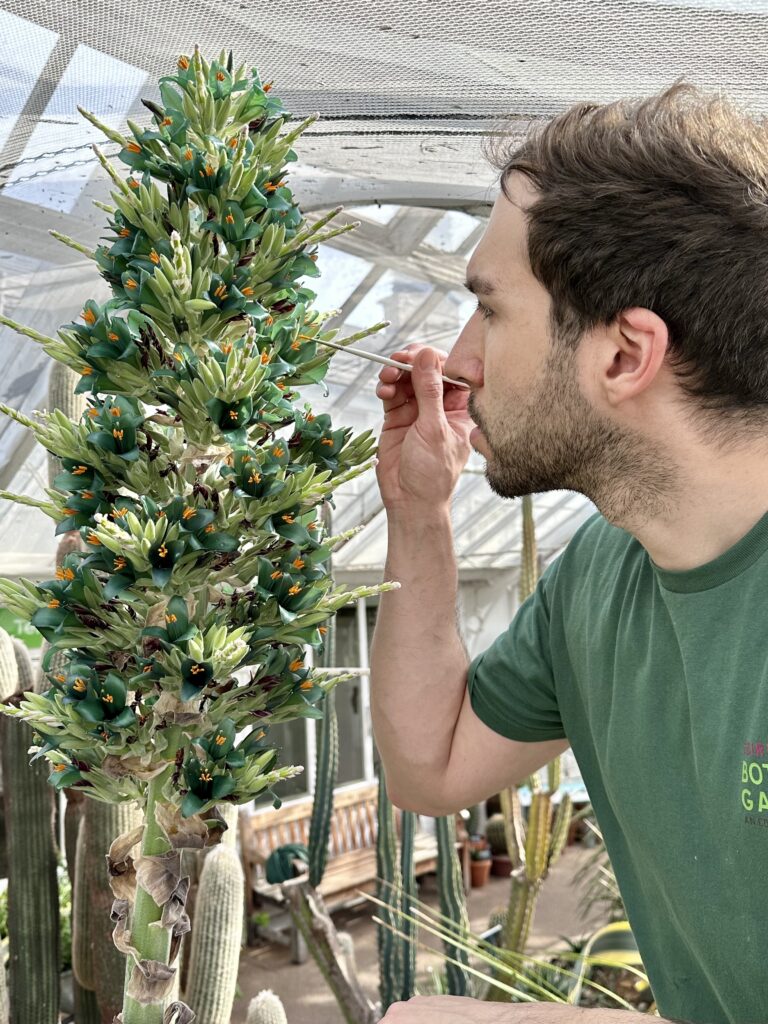 Birmingham Botanical Gardens