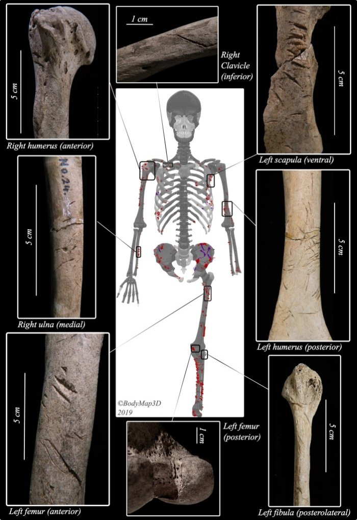 White et al., J. Archaeol. Sci. Rep., 2021/JAW, courtesy of Kyoto University