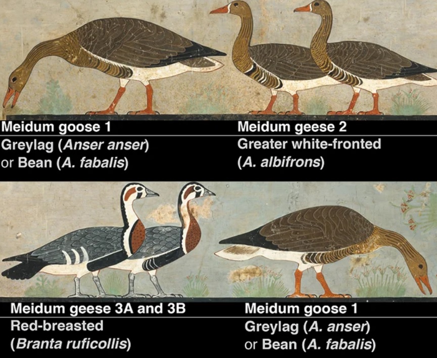 Science alert Science alert