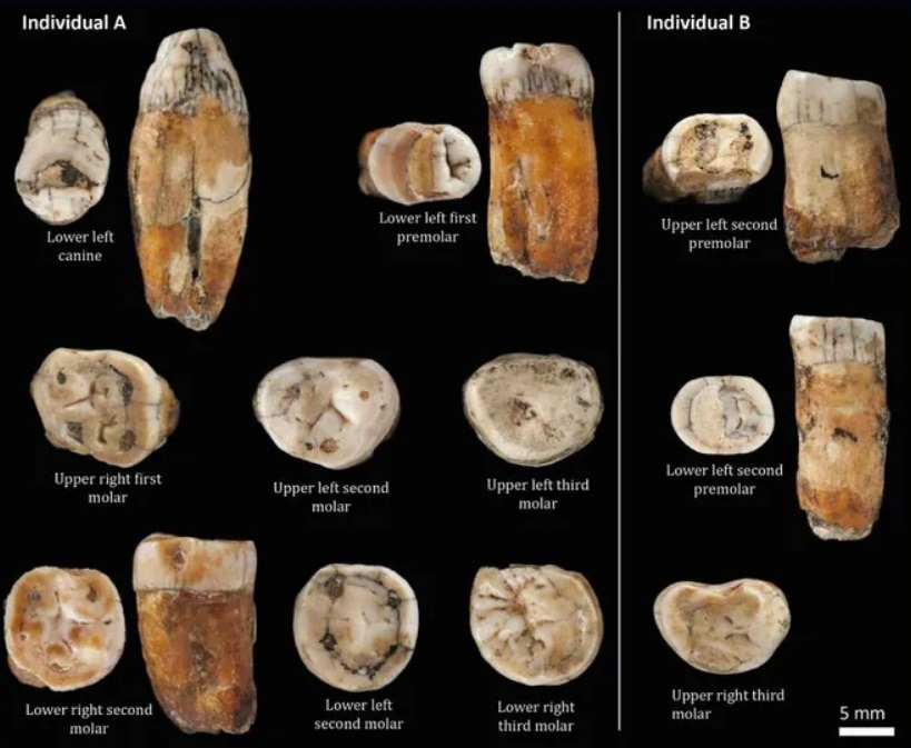 Популярная механика
