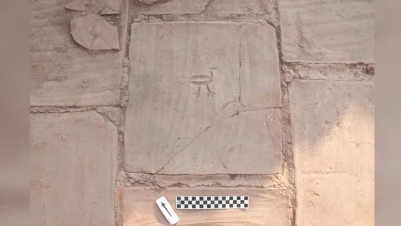 Популярная механика Популярная механика