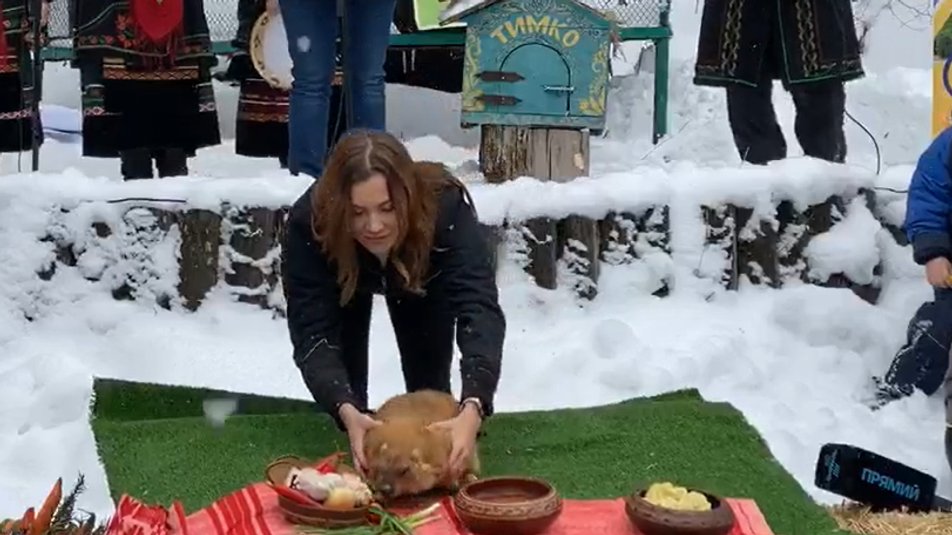 Суспільне Харків Суспільне Харків