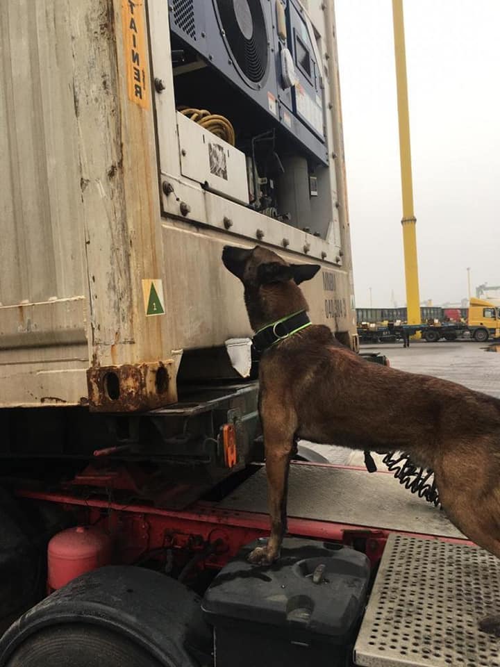 Фото: Одеська митниця в Facebook